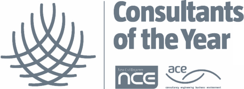 NCE Consultants of the Year logo