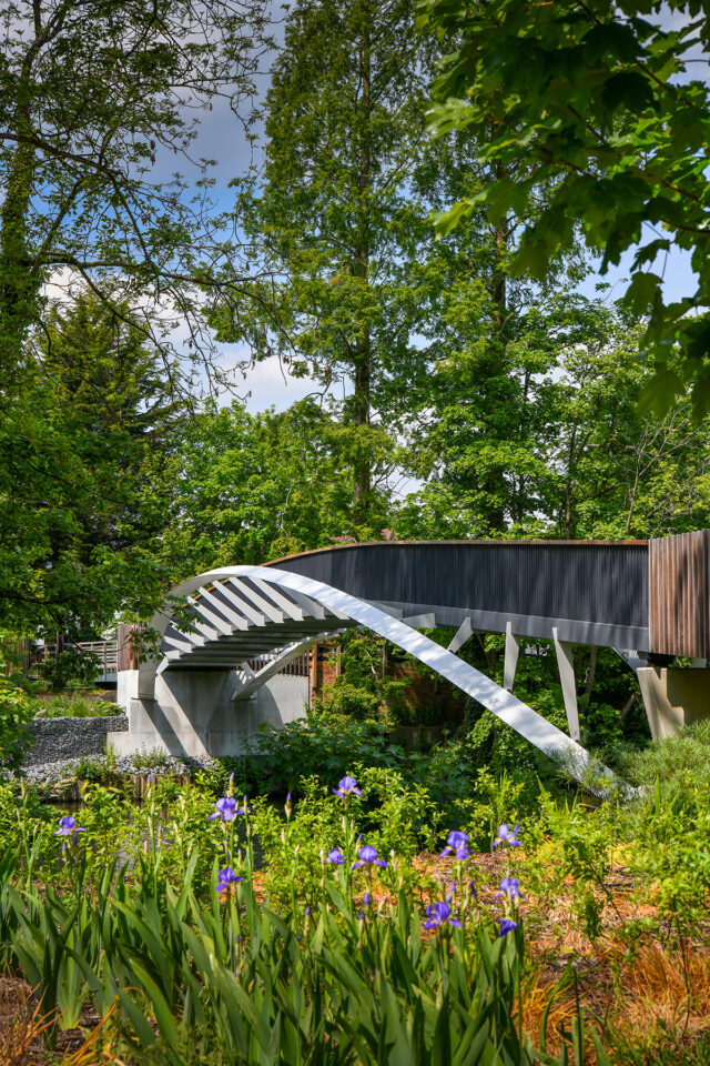 Summery image of Thames Footbridge